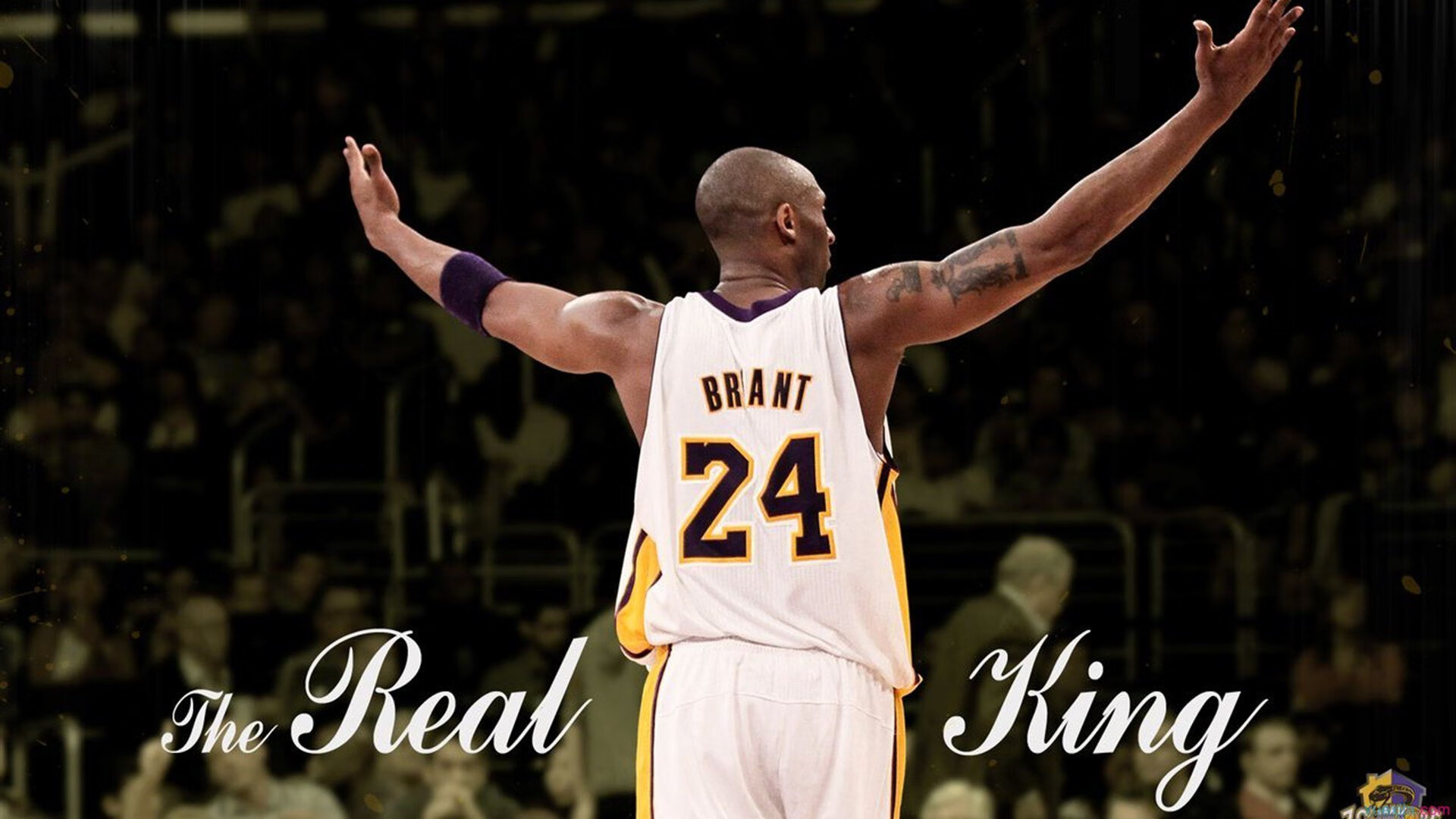 阿莱克西:短距离靠的是精度与节奏,阿莱克西奇